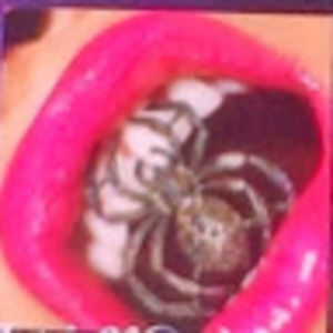 Meet your Posher, Divamatrix